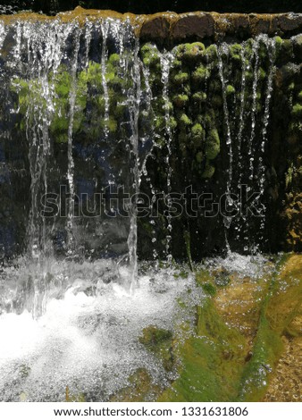 waterfall with green algae