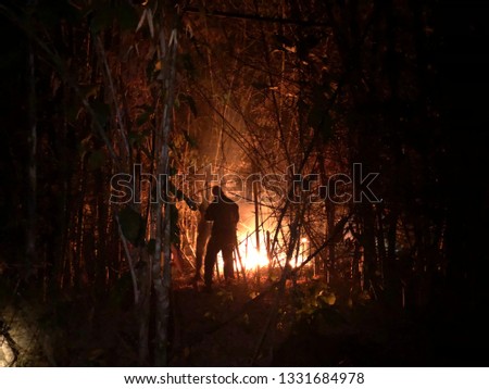 Forest fires are burning forests and dry trees in the dry summer season at night time - Image