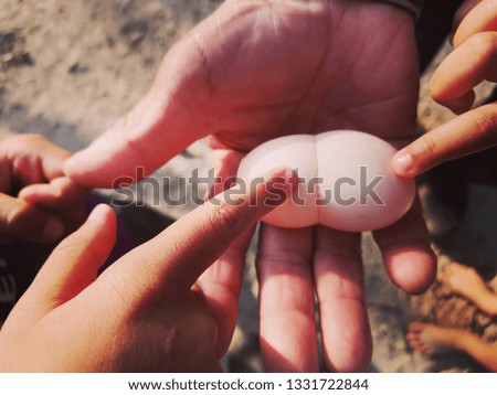 Twin eggs placed on the palm