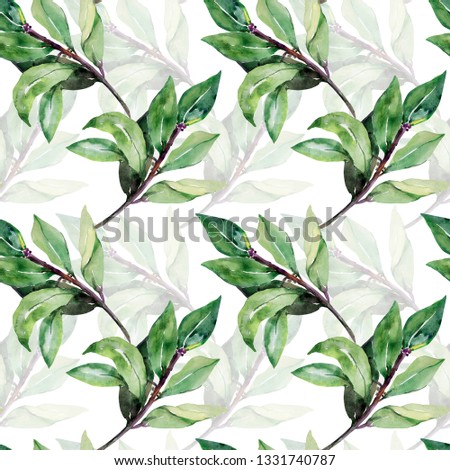 Seamless pattern Tree laurel.