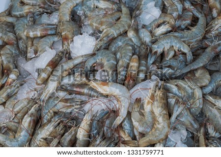 Shrimp on local market close-up shallow focus 