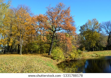 day in autumn Park

