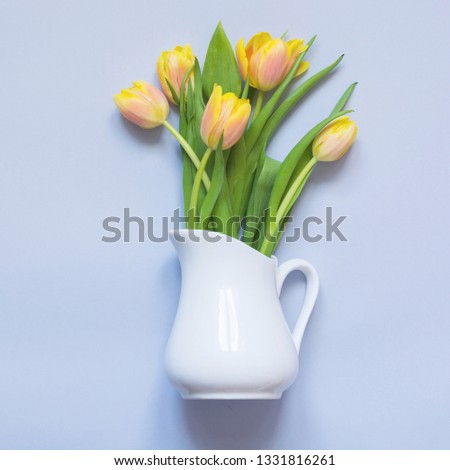 Spring yellow tulip in vase on blue. Creative