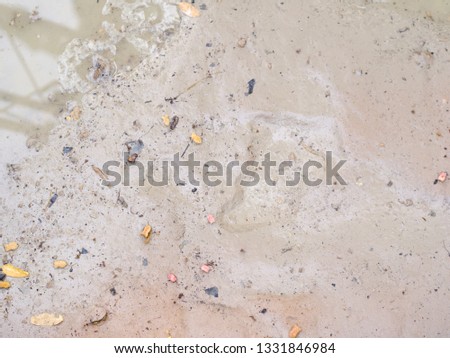 Dirty Dry Saline Soil Grunge Surface with small leaves. Abstract Backgroud Concept. Royalty-Free Stock Photo #1331846984