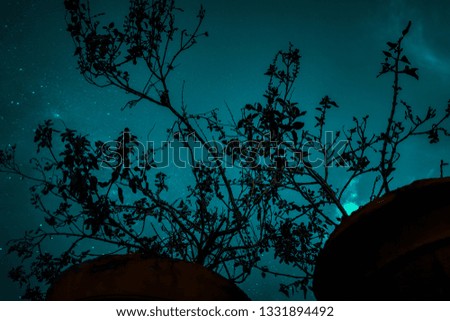 The Plant Was Focused In The Night - JAMNAGAR . GUJARAT