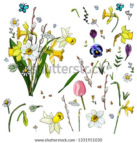 A set of isolated spring flowers and leaves. 