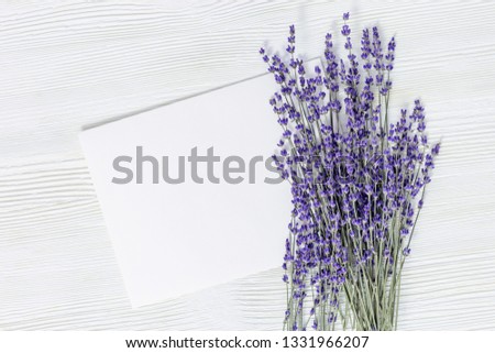 Lavender flowers top view. Floral background with lavender and copy space. Aromatherapy mock-up. 