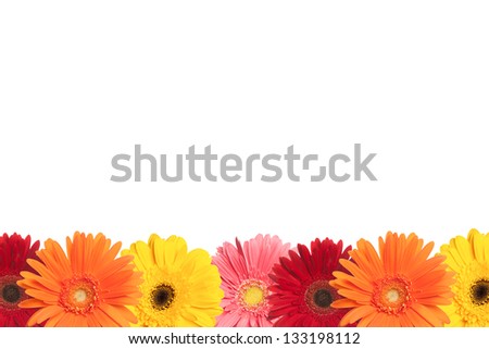 A row of colorful daisies are shown at the bottom of a white page.
