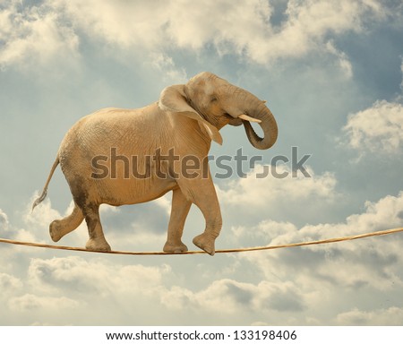 Elephant In Sky Walking On Rope Royalty-Free Stock Photo #133198406