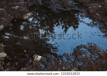 Puddle on a muddy day reflecting the sky and trees. The wet weather creates an abstract design obstacle on the hiking trail. 