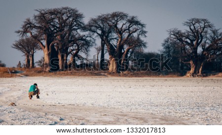 Woman takes photographs of Baines Baobabs, Nxai-Pan-Nationalpark, Botswana