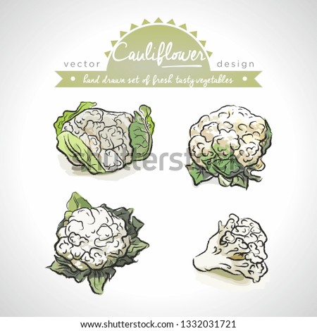 Cauliflower Collection of fresh vegetables with leaf. Vector illustration. Isolated	