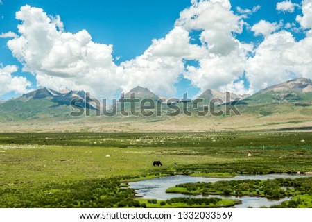 Landscape of lakes, grasslands, mountains, plateau herds under blue sky and white clouds, Qinghai-Tibet Railway, China