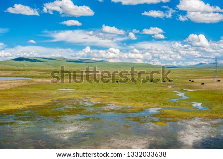 Landscape of lakes, grasslands, mountains, plateau herds under blue sky and white clouds, Qinghai-Tibet Railway, China
