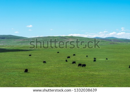 
Blue Sky, White Clouds and Green Grassland Mountains, Plateau Ranch, Tibet-Tibet Railway, China 