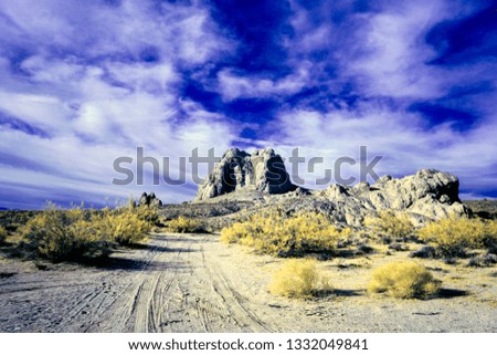 Desert dirt road with tire tracks leading through yellow bushes and brush to large rock formations under blue sky with white clouds. Morning with shadows.