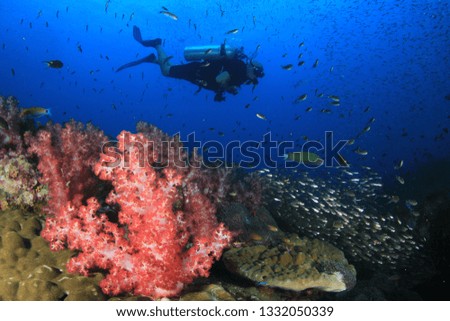 Scuba dive on coral reef underwater 