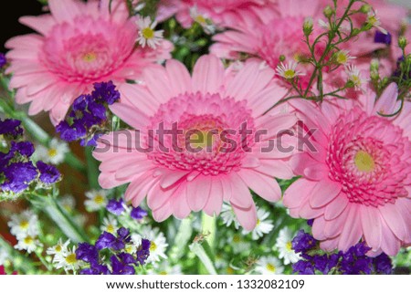 Flower arrangement of a bouquet of garden flowers. Natural background.