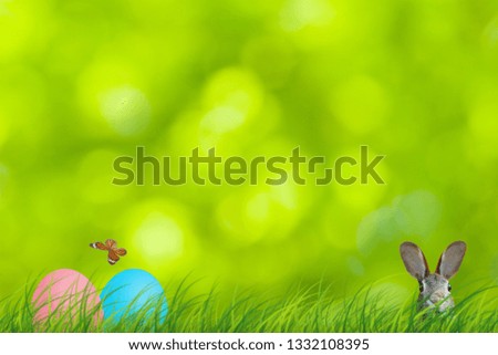 Easter rabbit and easter eggs hidden in a colorful natural scene