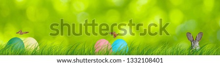 Easter rabbit and easter eggs hidden in a colorful natural scene