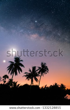 Beautiful Milkyway on the sky  with silhouette coconut tree landscape in high definition