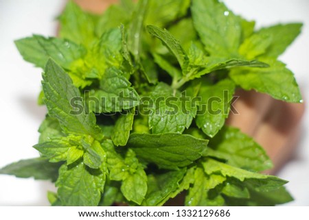 Green Mint Leaves Natural Royalty-Free Stock Photo #1332129686