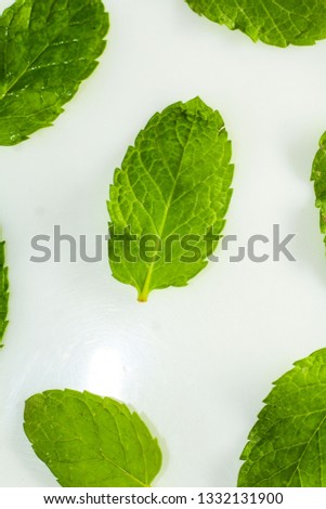 Mint Leaf Isolated Royalty-Free Stock Photo #1332131900