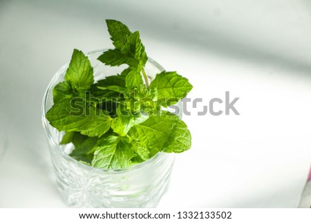 Mint herb Leaves in Glass Royalty-Free Stock Photo #1332133502