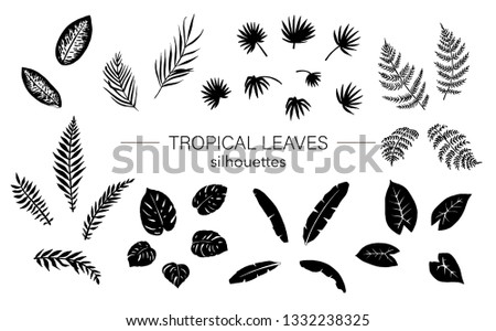 Vector set of tropical leaves silhouettes. Black drawing of jungle foliage. Hand drawn palm tree, banana, monstera, dieffenbachia, fern. Home tropic leaf clip art