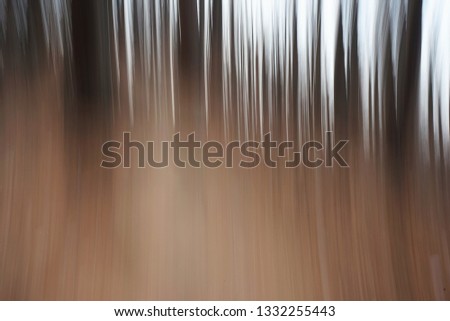 Low shutter speed and panning shot in forest