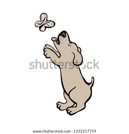 Dog catching butterfly isolated on white background.