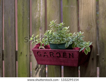 A pot with green leafy plants is located in the box on the fence.