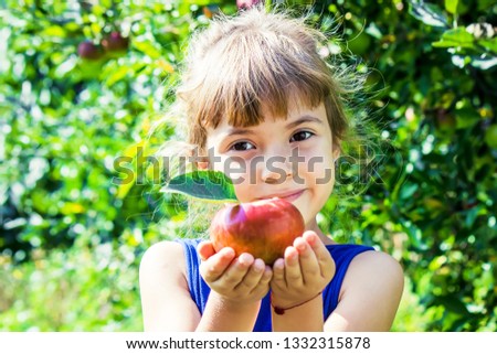 the child is eating an apple in the garden. Selective focus. Royalty-Free Stock Photo #1332315878