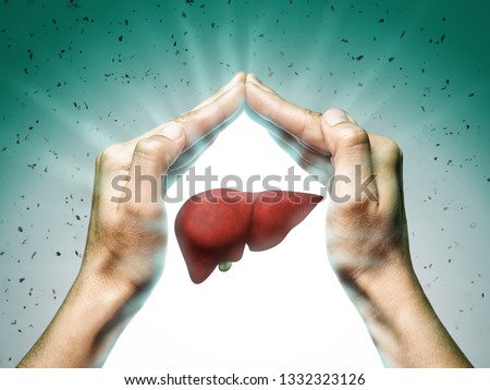 A human liver between two palms of a woman on  blue and green background. The concept of a healthy liver.