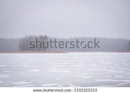 Winter scenery. Grey colors of iced lake and trees far behind
