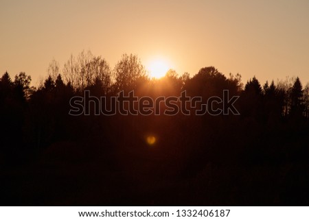 sun illuminates the treetops in the evening