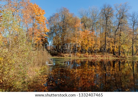 river in the autumn with the color of trees and leaves