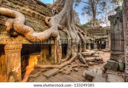Ancient temples being reclaimed by surround jungle Royalty-Free Stock Photo #133249385