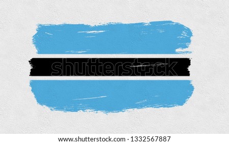  Botswana  flag on the wall - Image
