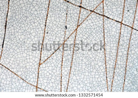 Closeup glaze surface with craze patterns Royalty-Free Stock Photo #1332571454