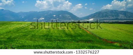 Red poppy and dirt path line in green field. Mountains on background. Panorama spring image.