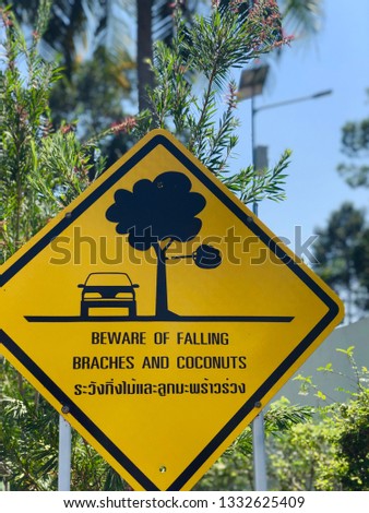 Beware of falling branches and coconuts sign with Thai letters meaning beware of falling objects