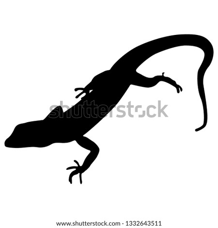 Isolated vector silhouette of a lizard.