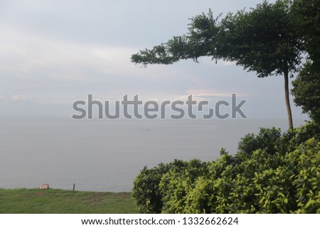Trees Sea and Beach