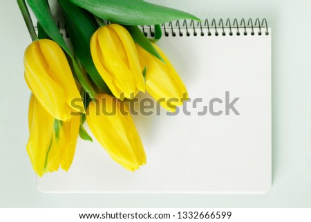 Yellow tulips on a white background with a place for the text. Flowers flat lay concept. Flowers with a notebook. Selective focus. Spring concept