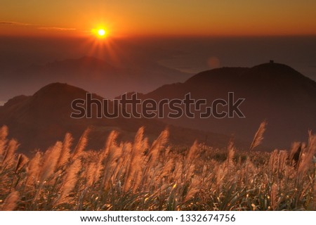 Sunset scenery of Miantianshan silhouettes from a viewpoint in Yangmingshan National Park in Taipei, Taiwan, and Miscanthus Blossoms shining through the fog in a mystical atmosphere.