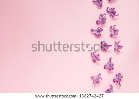 Floral beautiful pastel pink background. Purple small flowers of Hyacinth. Flat lay, top view, copy space