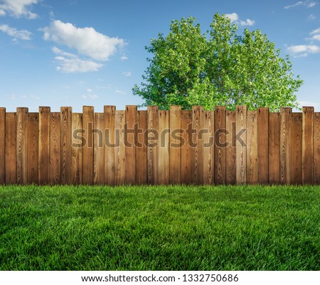spring tree in backyard and wooden garden fence Royalty-Free Stock Photo #1332750686