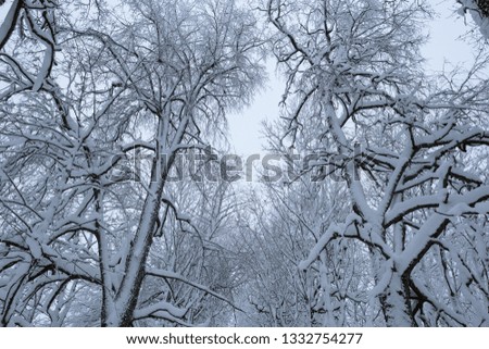 cold and winter landscapes with snow in Russia