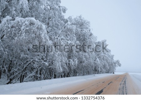 cold and winter landscapes with snow in Russia